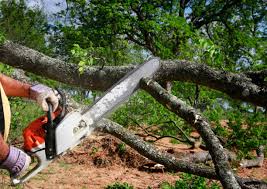Best Lawn Watering Services  in Gridley, CA