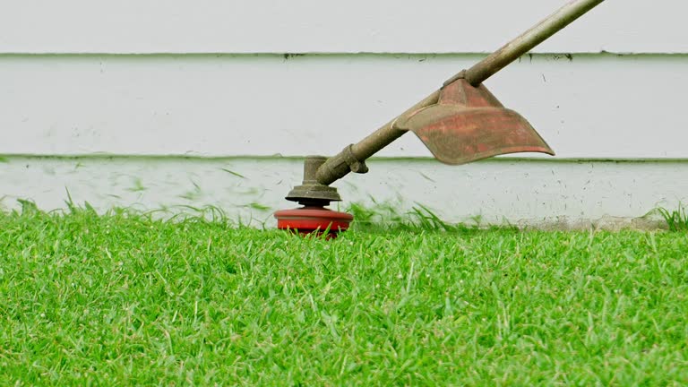 Best Sod Installation  in Gridley, CA